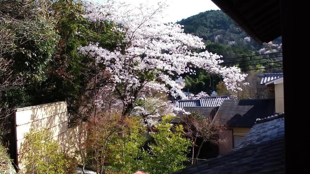 金閣荘 Otel Kyoto Dış mekan fotoğraf